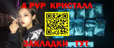 крисы Моздок