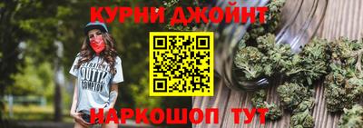 крисы Моздок
