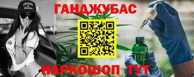 крисы Моздок