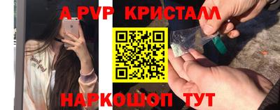 крисы Моздок