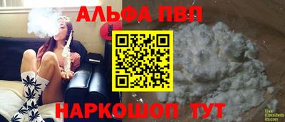 крисы Моздок
