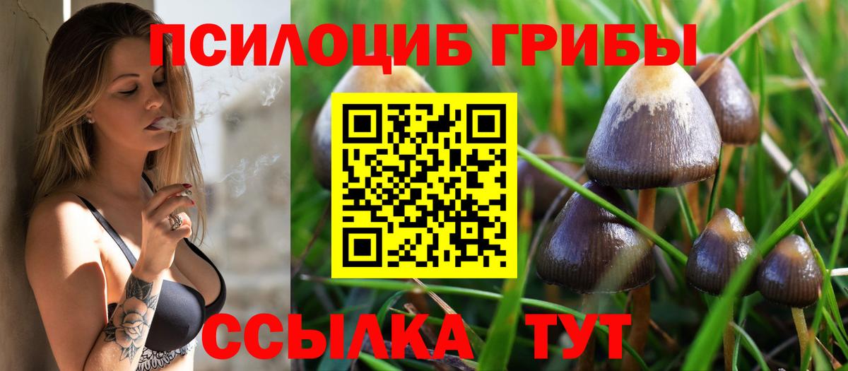 Псилоцибиновые грибы MAGIC MUSHROOMS Ноябрьск